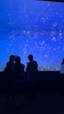 アクアワールド茨城県大洗水族館に投稿された画像（2022/8/22）