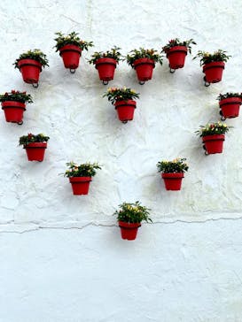 志摩スペイン村パルケエスパーニャに投稿された画像（2022/8/22）