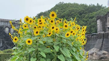 志摩スペイン村パルケエスパーニャに投稿された画像（2022/8/22）