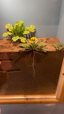 国立科学博物館に投稿された画像（2022/8/22）