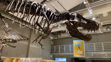 国立科学博物館に投稿された画像（2022/8/22）