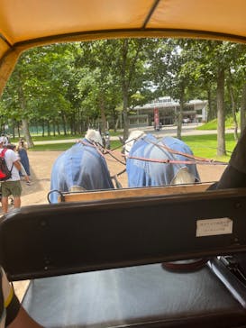 ノーザンホースパークに投稿された画像（2022/8/22）