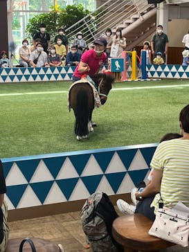 ノーザンホースパークに投稿された画像（2022/8/22）