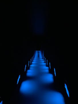 チームラボプラネッツ TOKYO DMMに投稿された画像（2022/8/22）