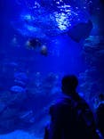 京都水族館に投稿された画像（2022/8/22）