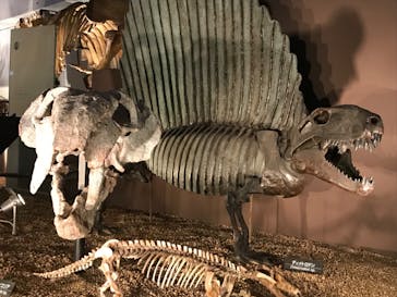 国立科学博物館に投稿された画像（2022/8/22）