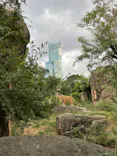 天王寺動物園に投稿された画像（2022/8/22）