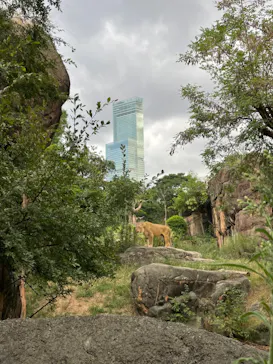 天王寺動物園に投稿された画像（2022/8/22）