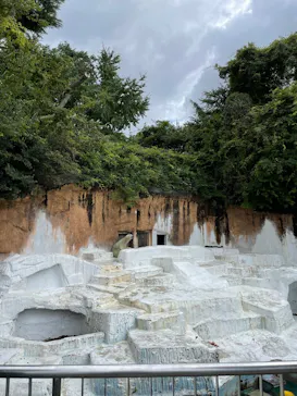 天王寺動物園に投稿された画像（2022/8/22）