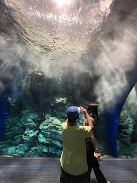マリンワールド海の中道に投稿された画像（2022/8/22）
