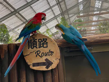 神戸どうぶつ王国に投稿された画像（2022/8/22）