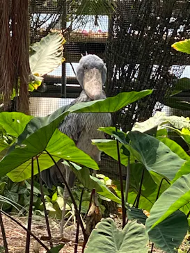 神戸どうぶつ王国に投稿された画像（2022/8/22）