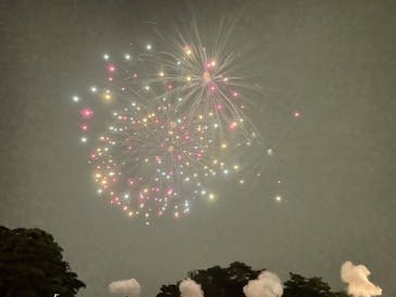 西武園ゆうえんちに投稿された画像（2022/8/22）