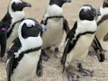 仙台うみの杜水族館に投稿された画像（2022/8/22）