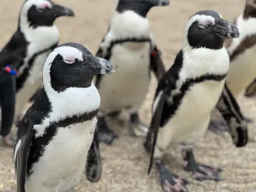 仙台うみの杜水族館に投稿された画像（2022/8/22）