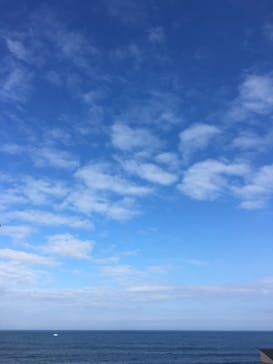 アクアワールド茨城県大洗水族館に投稿された画像（2022/8/22）