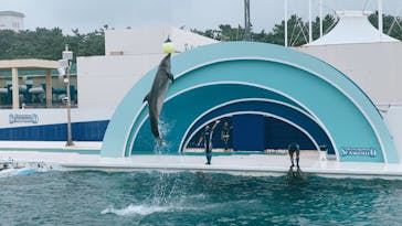 鴨川シーワールドに投稿された画像（2022/8/22）