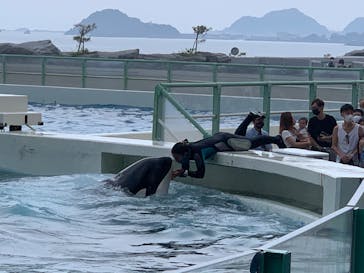 鴨川シーワールドに投稿された画像（2022/8/22）