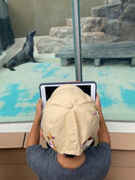 サンシャイン水族館に投稿された画像（2022/8/22）