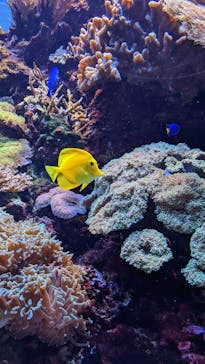 マリンワールド海の中道に投稿された画像（2022/8/22）