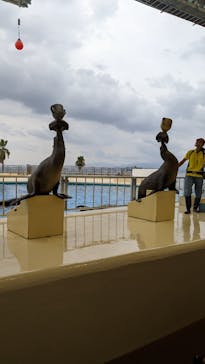 マリンワールド海の中道に投稿された画像（2022/8/22）