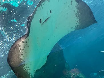 株式会社Gに投稿された画像（2022/8/22）