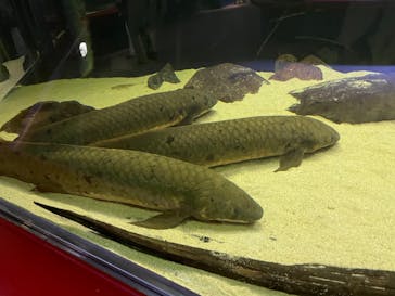 株式会社Gに投稿された画像（2022/8/22）