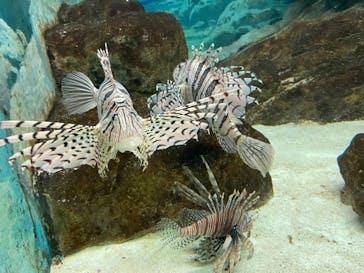 株式会社Gに投稿された画像（2022/8/22）