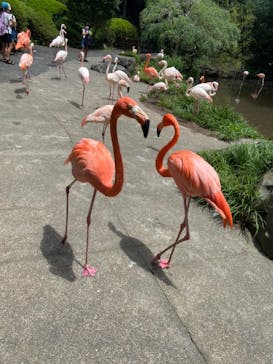 長崎バイオパークに投稿された画像（2022/8/22）