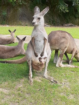 長崎バイオパークに投稿された画像（2022/8/22）