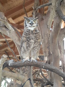 長崎バイオパークに投稿された画像（2022/8/22）