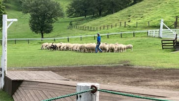 伊香保グリーン牧場に投稿された画像（2022/8/22）