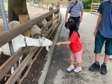 伊香保グリーン牧場に投稿された画像（2022/8/22）