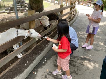 伊香保グリーン牧場に投稿された画像（2022/8/22）