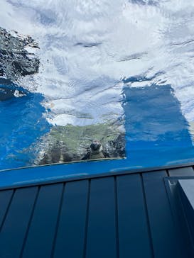 サンシャイン水族館に投稿された画像（2022/8/22）