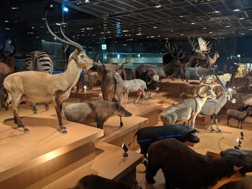 国立科学博物館に投稿された画像（2022/8/22）