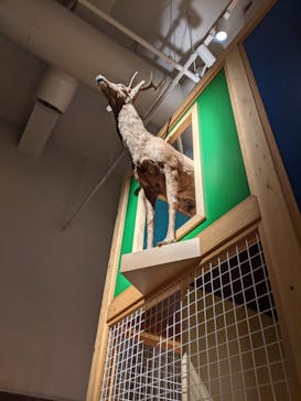 国立科学博物館に投稿された画像（2022/8/22）