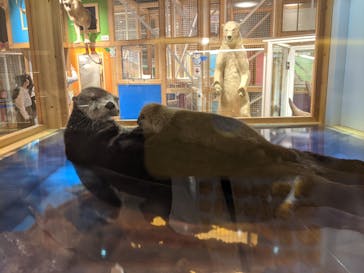 国立科学博物館に投稿された画像（2022/8/22）