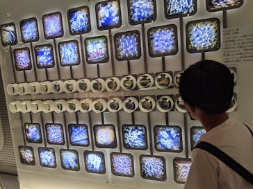 国立科学博物館に投稿された画像（2022/8/22）