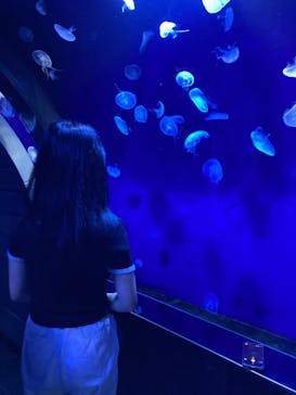 サンシャイン水族館に投稿された画像（2022/8/22）