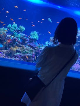 サンシャイン水族館に投稿された画像（2022/8/22）