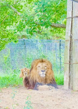 姫路セントラルパークに投稿された画像（2022/8/22）