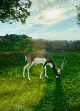 姫路セントラルパークに投稿された画像（2022/8/22）