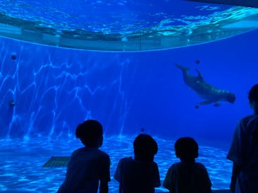 九十九島水族館海きららに投稿された画像（2022/8/22）