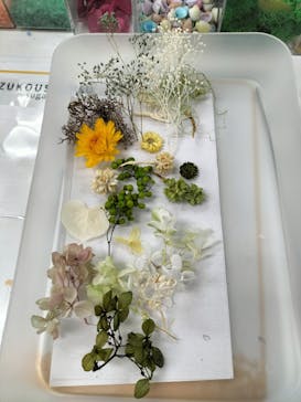 ずこうしつ〜sugamo〜に投稿された画像（2022/8/22）