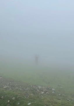 びわ湖バレイに投稿された画像（2022/8/22）