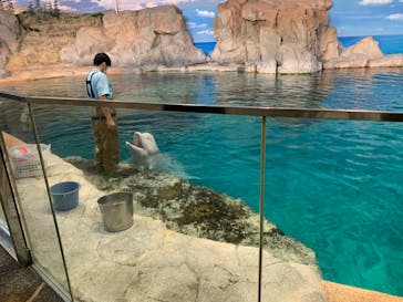名古屋港水族館に投稿された画像（2022/8/22）