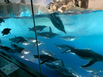 名古屋港水族館に投稿された画像（2022/8/22）