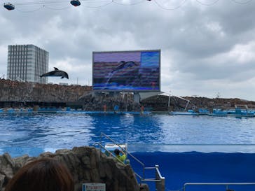 名古屋港水族館に投稿された画像（2022/8/22）