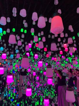 森ビル デジタルアート ミュージアム：エプソン チームラボボーダレスに投稿された画像（2022/8/22）